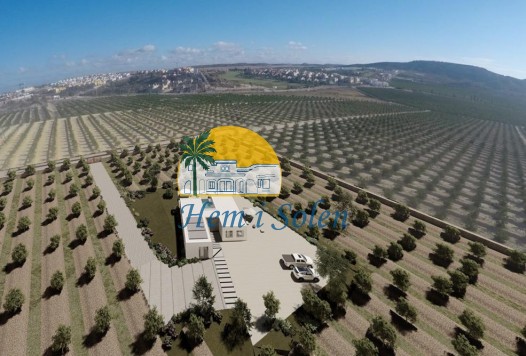 New Build - Villa -
Algorfa - Lomas De La Juliana