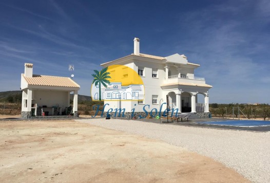 Nueva construcción  - Villa -
Pinoso - Camino Del Prado