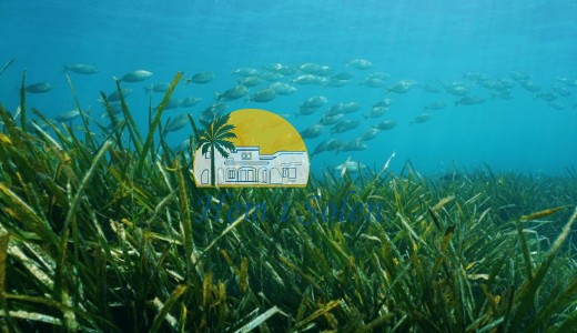 New Build - Villa -
Benissa - Racó Del Galeno