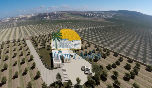 New Build - Villa -
Algorfa - Lomas De La Juliana