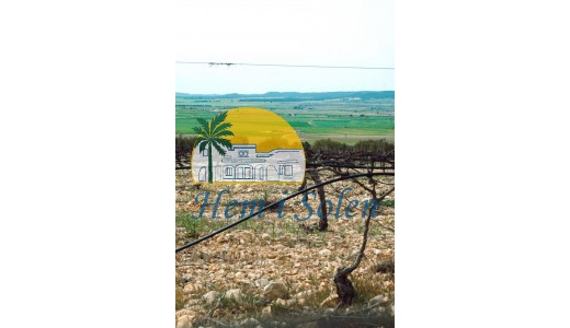 Nueva construcción  - Villa -
Yecla