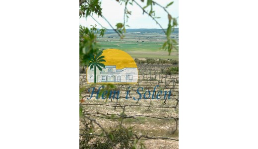 Nueva construcción  - Villa -
Yecla