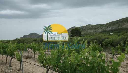 Nueva construcción  - Villa -
Yecla