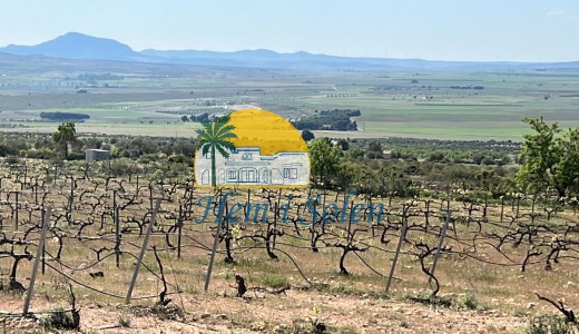 Nueva construcción  - Villa -
Yecla