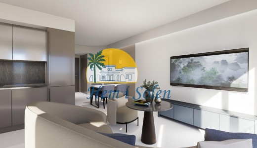 New Build - Penthouse -
Torrevieja - Acequion