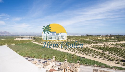 Nueva construcción  -  -
Algorfa - La finca golf