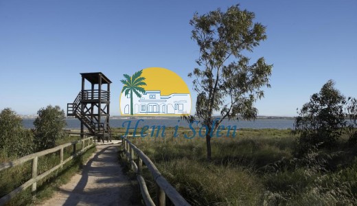 Nueva construcción  -  -
Torrevieja - Altos del Sol