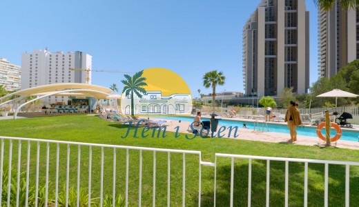 Reventa - Apartamento -
Benidorm - Playa de Poniente