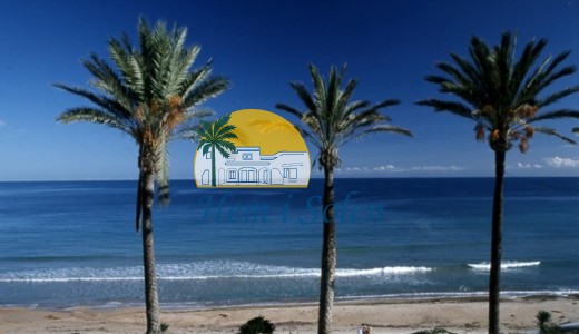 New Build - Ground Floor Bungalow -
Pilar de la Horadada - Parque Ramon eugenio Escudero
