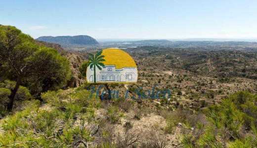 New Build - Villa -
Aspe - Centro