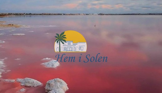 Nueva construcción  -  -
Torrevieja - Lago Jardín II