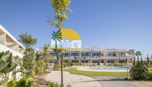 Nueva construcción  -  -
Torrevieja - La veleta