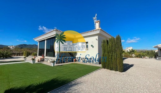 Nueva construcción  - Villa -
Pinoso - Camino Del Prado