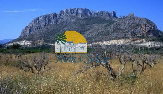 Nueva construcción  - Apartamento -
El Verger