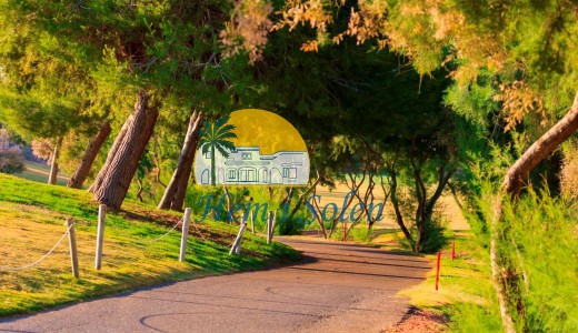 New Build - Villa -
Pilar de la Horadada - Lo Romero Golf