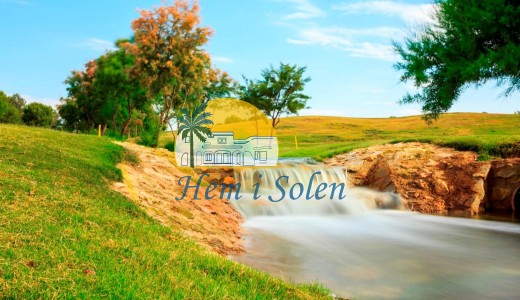 New Build - Villa -
Pilar de la Horadada - Lo Romero Golf
