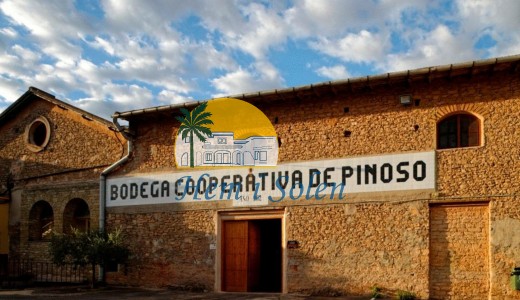 Nybyggd - Villa -
Pinoso - Lel