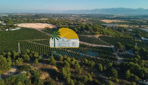 Nueva construcción  -  -
Godella - Campolivar