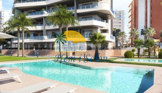 Nueva construcción  -  -
Guardamar del Segura - Puerto