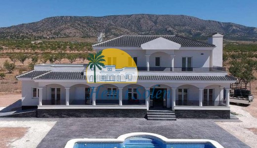 Nueva construcción  - Villa -
Pinoso - Camino Del Prado