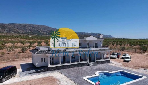 Nueva construcción  - Villa -
Pinoso - Camino Del Prado