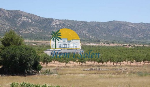 Nueva construcción  - Villa -
Pinoso - Camino Del Prado