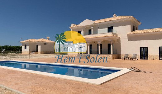 Nueva construcción  - Villa -
Pinoso - Camino Del Prado