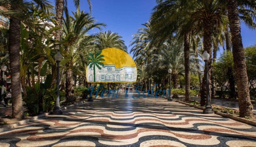 New Build - Ground floor apartment -
Alicante - Centro