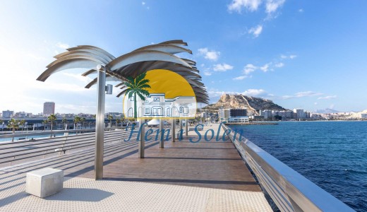 New Build - Ground floor apartment -
Alicante - Centro
